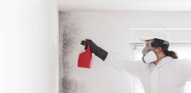 Best Mold Removal Company Near Me  in Newark, TX