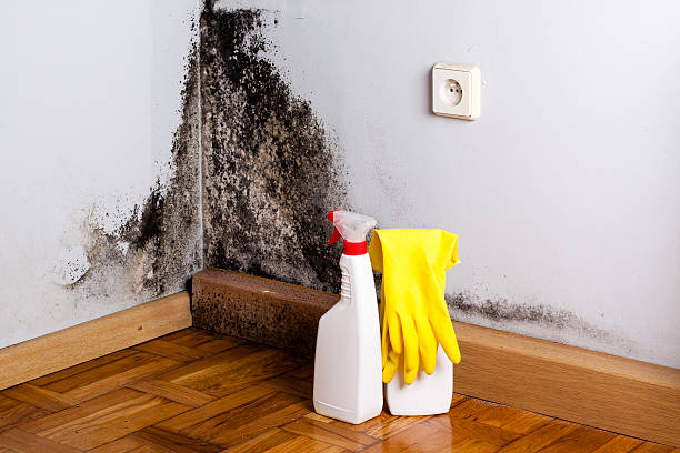 Best Emergency Mold Removal  in Newark, TX