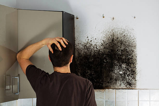 Best Attic Mold Removal  in Newark, TX